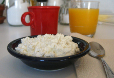 Homemade Cottage Cheese Image