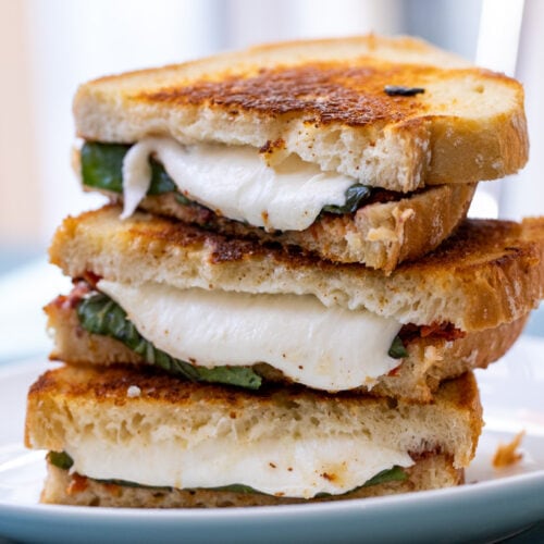 A grilled cheese made with mozzarella and an olive, roasted garlic, sun-dried tomato tapenade. Easy and wonderful flavors!