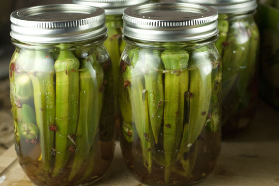 Spicy Pickled Okra Image