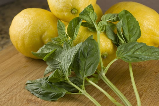 basics for Fresh Basil Lemonade