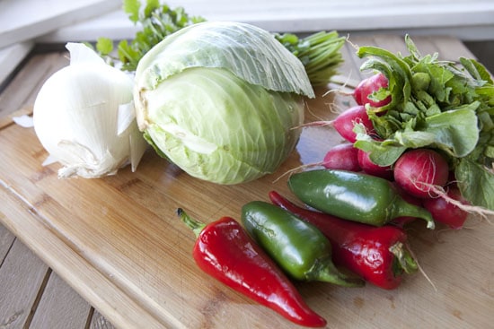 ingredients for Cabbage Salsa