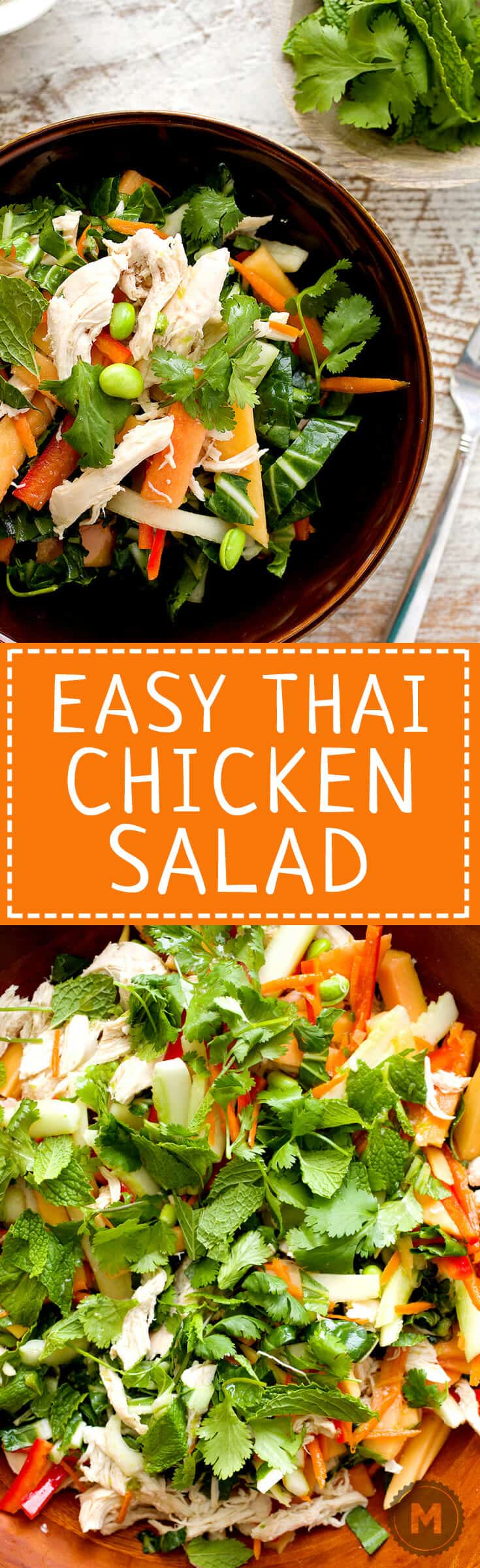 Easy Thai Chicken Salad: Poached chicken and chopped bok choy tossed with crunchy veggies and ripe papaya fruit. Tossed with lots of fresh herbs and a sweet/savory fish sauce dressing. Perfect for a light dinner or packed lunches! | macheesmo.com