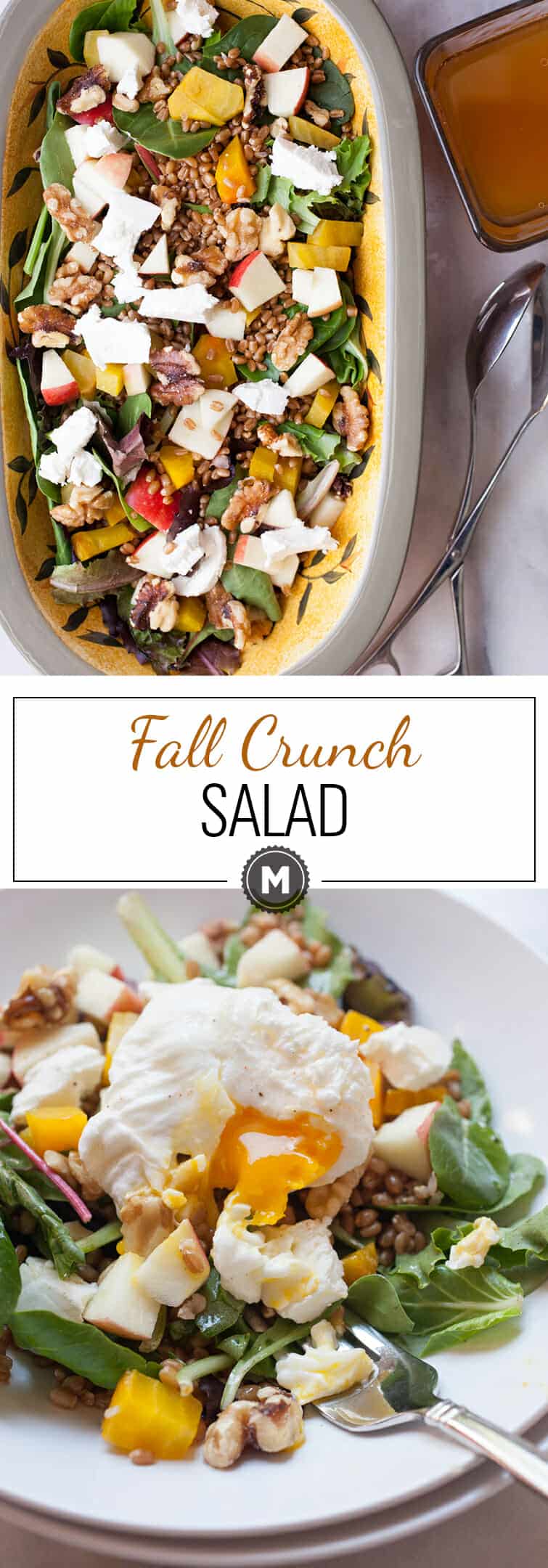 Fall Crunch Salad: This is the kind of salad I love this time of year. It's hearty, has loads of veggies and textures, plus creamy goat cheese and a tangy apple dressing. For a bonus, you can top it with an egg! | macheesmo.com
