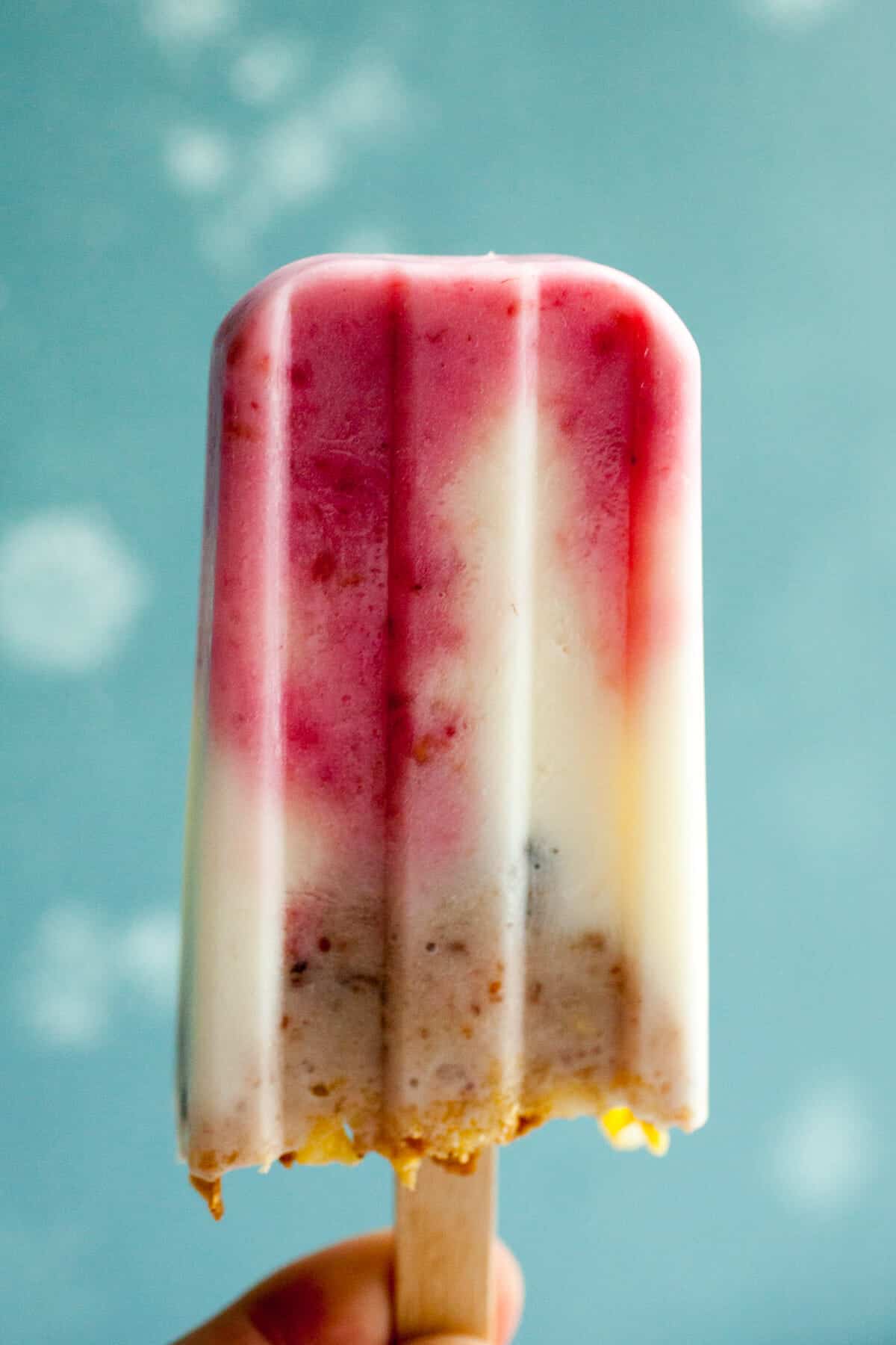 These yogurt popsicles are a great summer treat, perfect for those hot summer days when you're craving something more than your usual fruit salad concoction. macheesmo.com #popsicles #yogurt #healthy