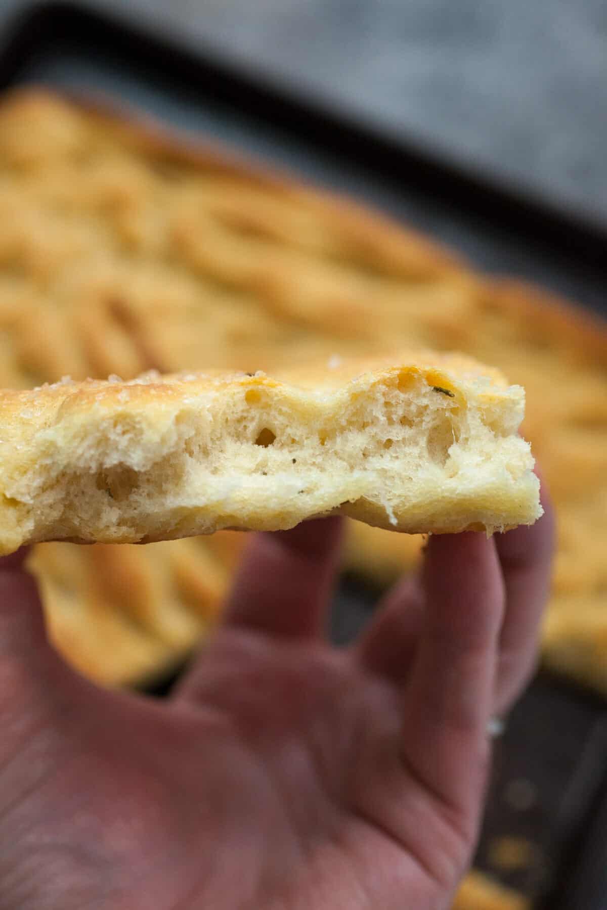 Thanksgiving Focaccia: If you're looking for a bread to change up your Thanksgiving recipe this year, this is a must try. Crispy and craggy and loads of flavor with a soft crumb, this focaccia has everything you want in a homemade bread. | macheesmo.com