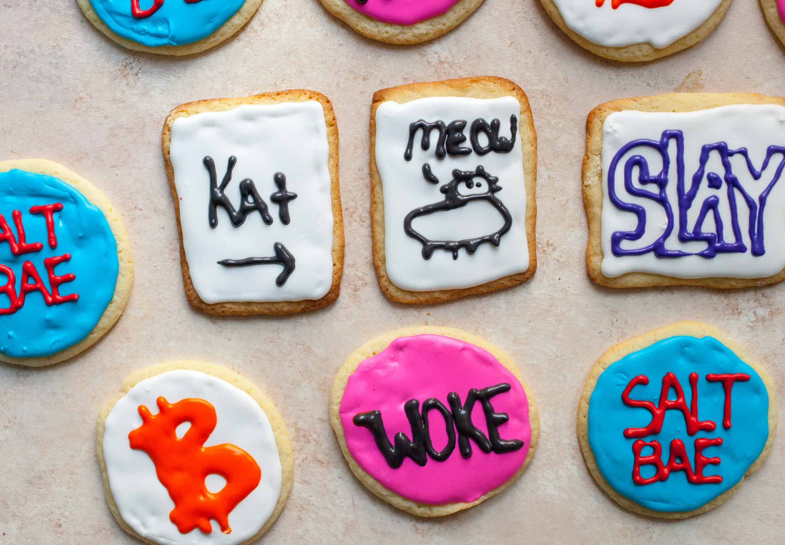 2017 was the year of the meme and so I thought I'd make some fun cookies based on some of the fun memes I saw in 2017. Leave a comment with the meme you would want in cookie form! | macheesmo.com