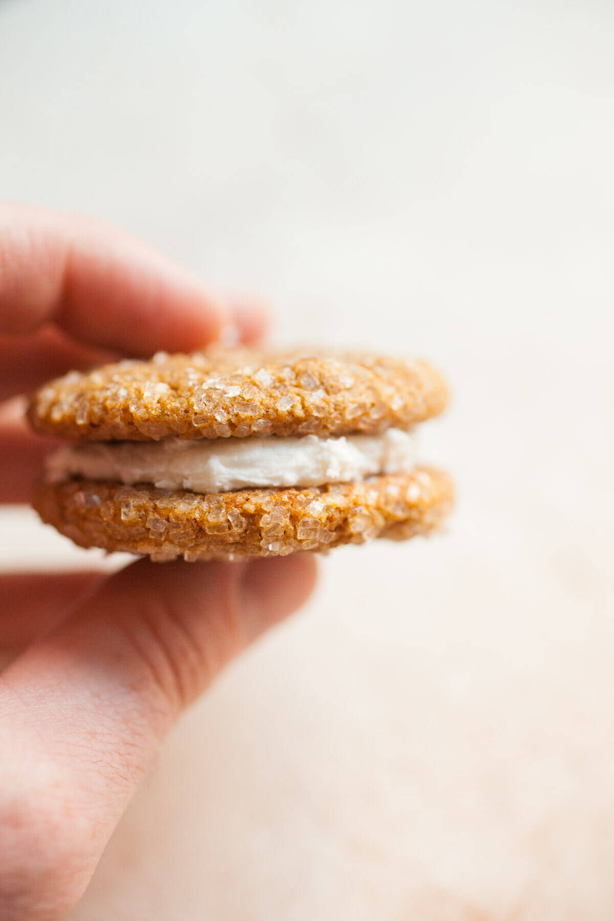Gingerbread Sandwich Cookies: Soft gingerbread cookies coated in sparkling sugar and sandwiched around a simple buttercream filling. Your new favorite holiday cookie! | macheesmo.com