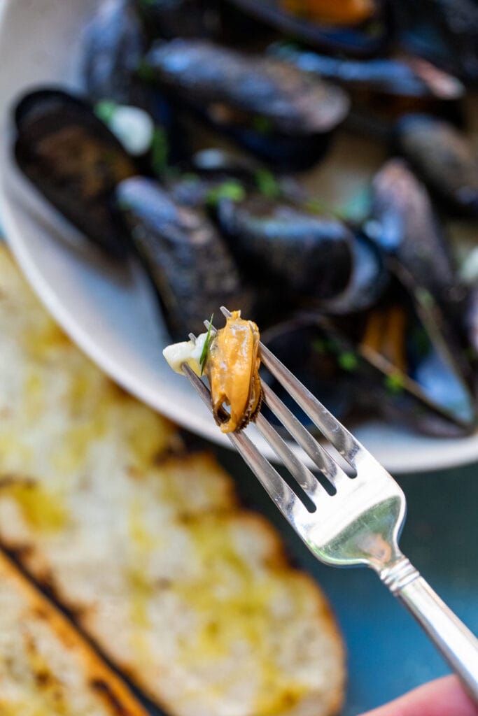 Grilled Mussels on Fork